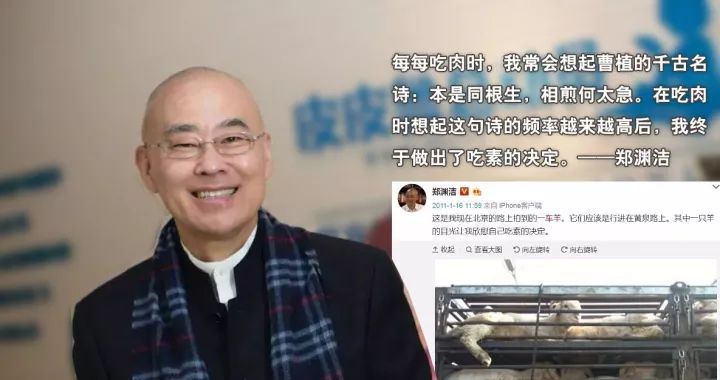 秦海璐身体健康_秦海璐身体健康_秦海璐身体健康