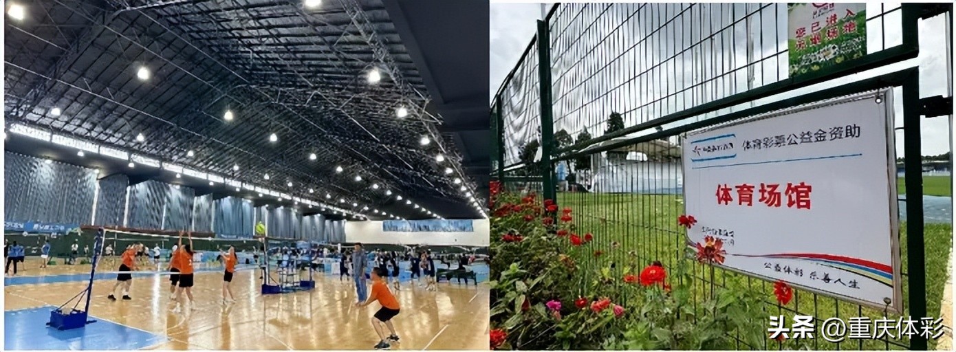 冠军游泳训练营在哪里有_游泳训练营介绍_游泳营冠军训练有哪些项目