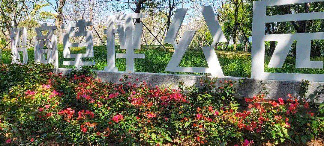 深圳时刻运动健身房_深圳硬核健身房_深圳健身路径