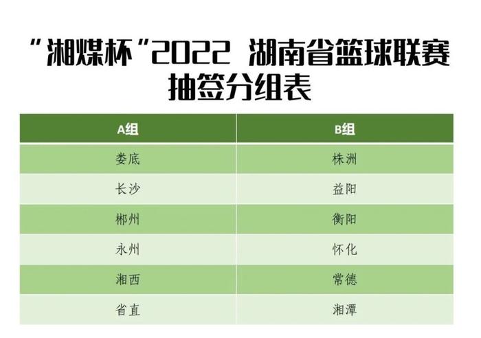 业余篮球联赛冠军娄底市有几名_娄底市业余篮球联赛冠军_娄底篮球协会